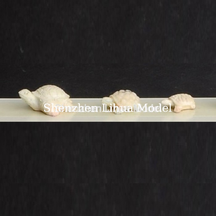 model tortoies,model animals,model scale figure,scale tortoie,model stuffs,fake tortoies,architectural model